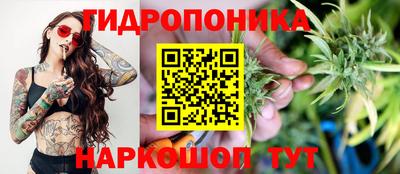ECSTASY Бузулук